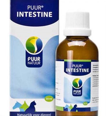 Puur natuur intestine (darm)