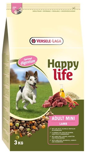 Happy life adult mini lamb